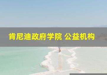 肯尼迪政府学院 公益机构